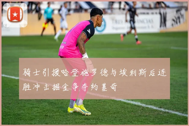 骑士引援哈登施罗德与埃利斯后连胜冲击掘金争夺约基奇